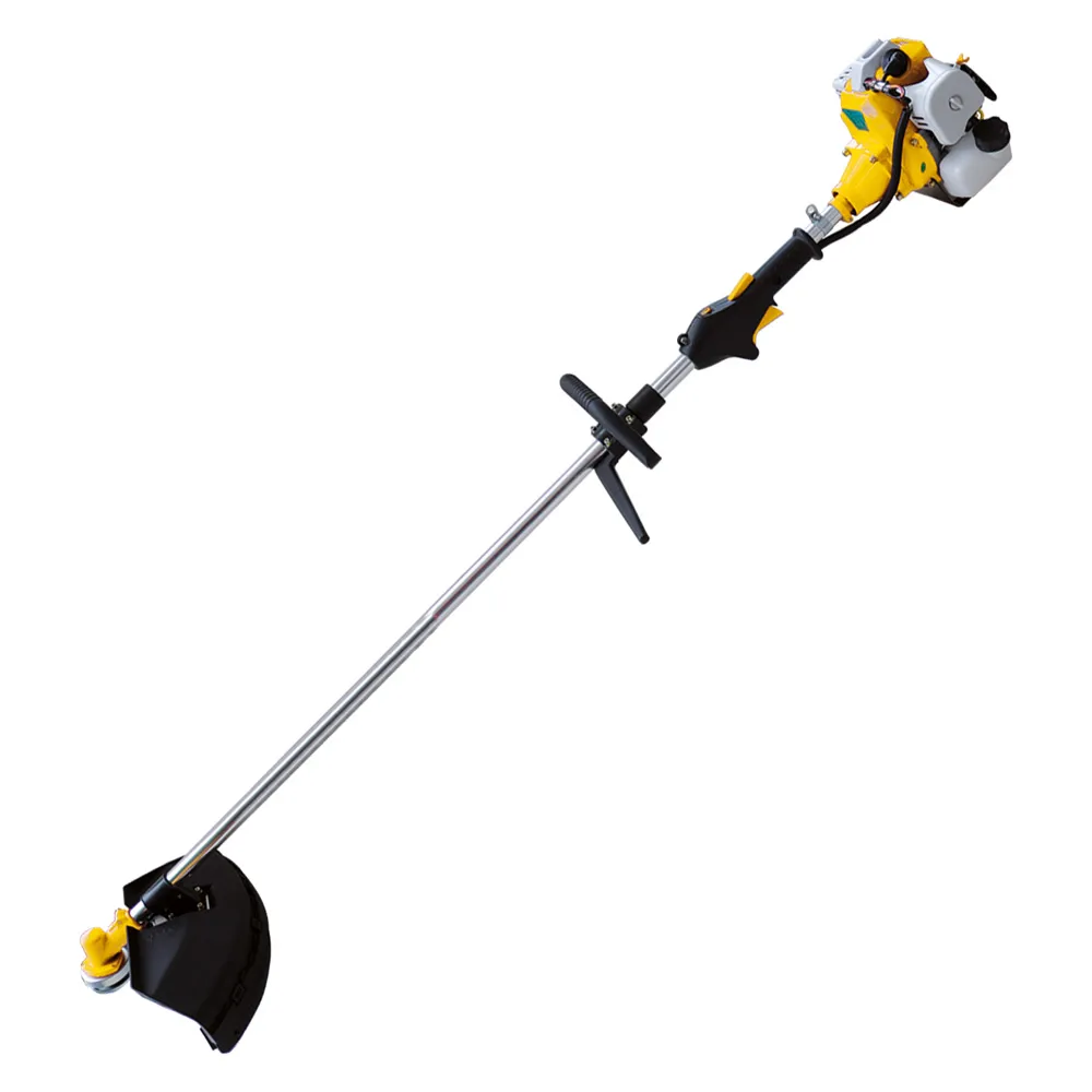 DECESPUGLIATORE 'PG330W' Hp 1 DECESPUGLIATORE 'PG330W' Hp 1