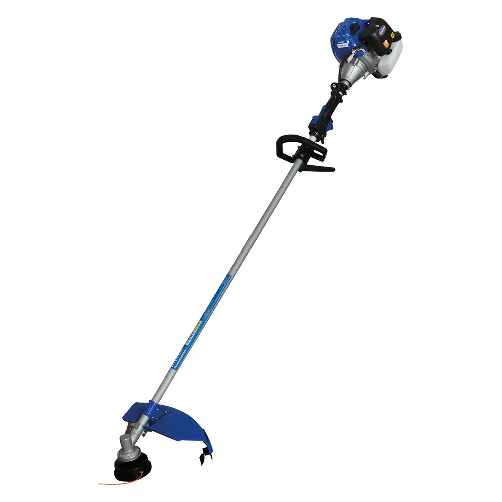 DECESPUGLIATORE 'LDBC330' Hp 1 DECESPUGLIATORE 'LDBC330' Hp 1