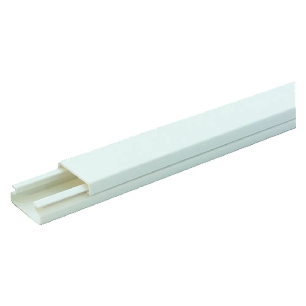 CANALINA PASSACAVI mm 20 x 10 - mt. 2 - art.60770 (senza separatore) CANALINA PASSACAVI mm 20 x 10 - mt. 2 - art.60770 (senza separatore)
