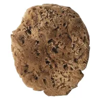 SPUGNA PER EFFETTI DECORATIVI tipo naturale - cm. 14