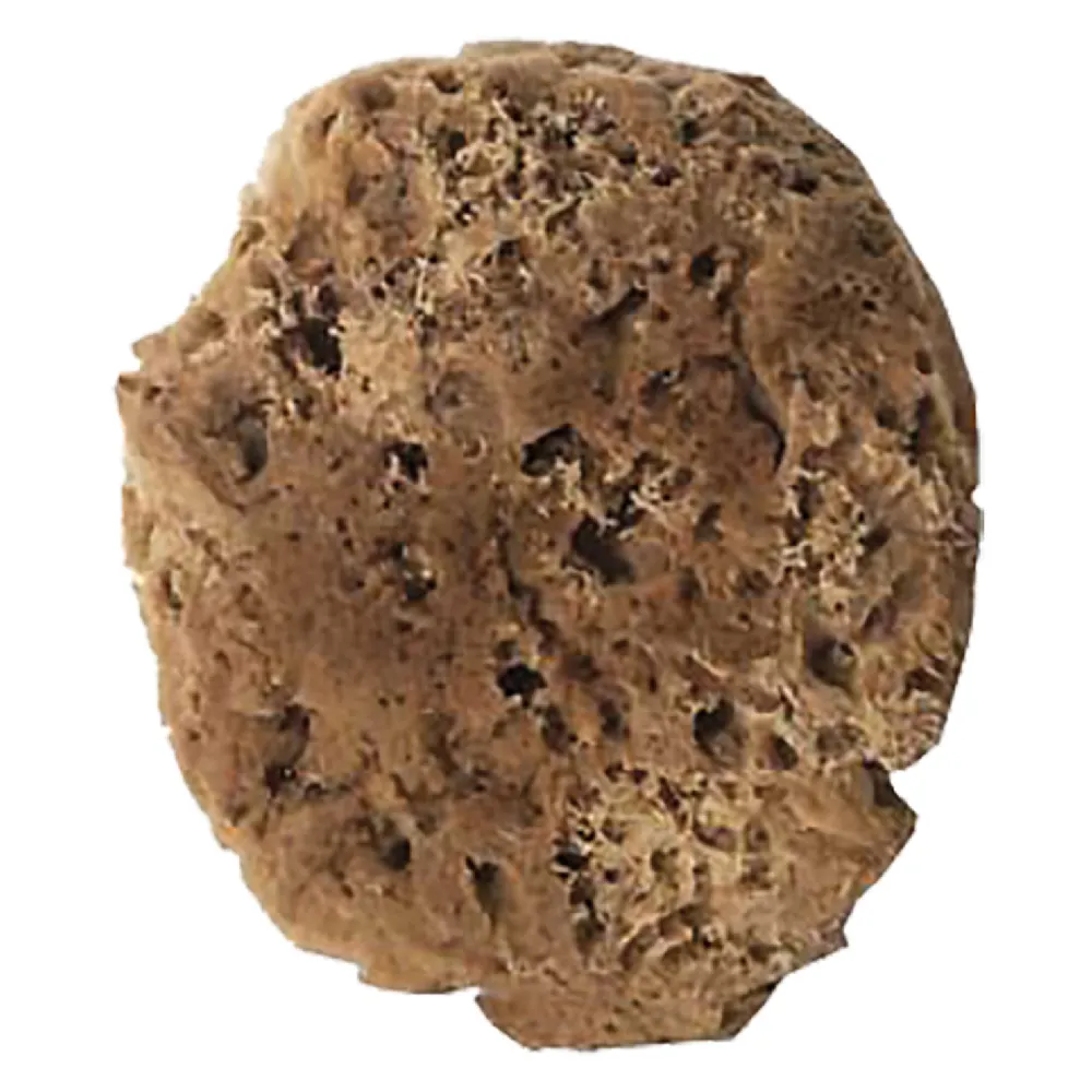 SPUGNA PER EFFETTI DECORATIVI tipo naturale - cm. 14 SPUGNA PER EFFETTI DECORATIVI tipo naturale - cm. 14