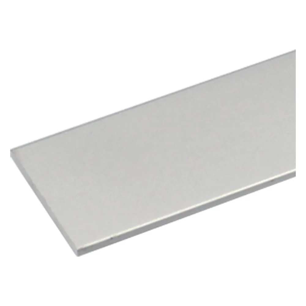 PROFILO PER FAI DA TE PIATTO mm 12 x 2 - mt 1 col.argento PROFILO PER FAI DA TE PIATTO mm 12 x 2 - mt 1 col.argento