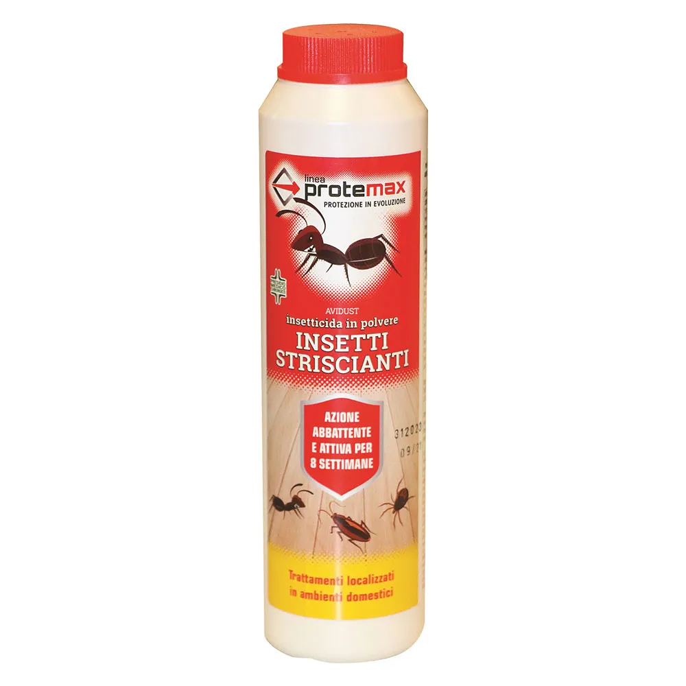 INSETTICIDA IN POLVERE kg 1 - busta