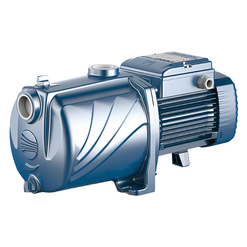 ELETTROPOMPA CENTRIFUGA MULTIGIRANTE 'CP' '3CP M100' - Hp 0 ELETTROPOMPA CENTRIFUGA MULTIGIRANTE 'CP' '3CP M100' - Hp 0