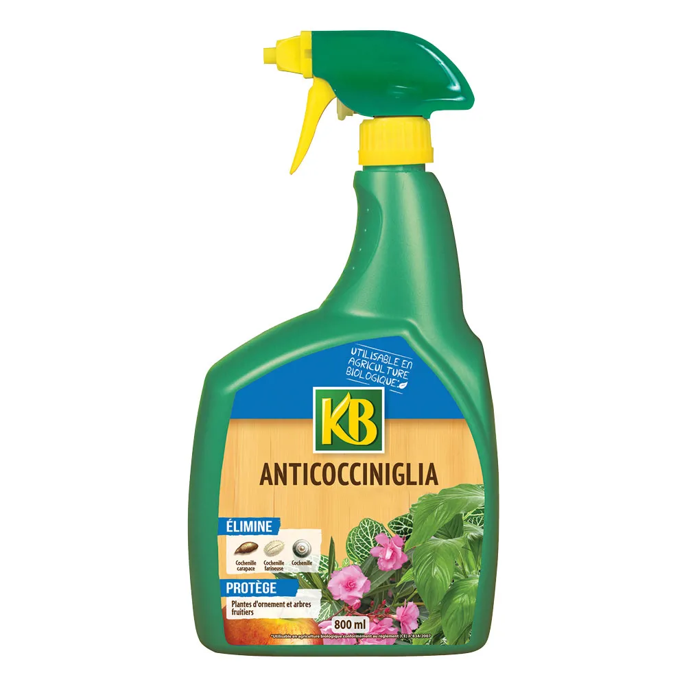 OLIO DI COLZA ANTI COCCINIGLIA Ml. 800 OLIO DI COLZA ANTI COCCINIGLIA Ml. 800