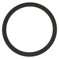 GUARNIZIONE POMPA TRAVASO PER FUSTI per modello Lt./min. 25 e 60