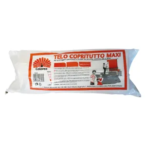 TELO COPRITUTTO MAXI mt 4 x 4 - gr. 250