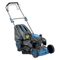 RASAERBA A SCOPPIO '65820' cc.200 - Hp 5