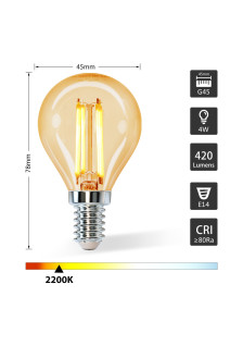 Ampoule LED G45 (4W, E14,...