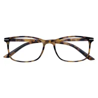 OCCHIALI PER LETTURA 'B24-DEM' + 3