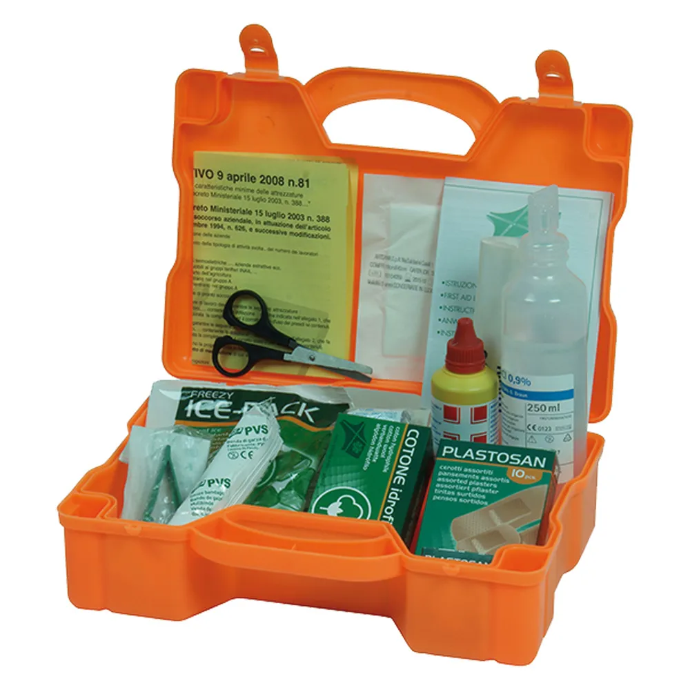 CASSETTA PRIMO SOCCORSO 'CPS153' cm 32x28x12 CASSETTA PRIMO SOCCORSO 'CPS153' cm 32x28x12