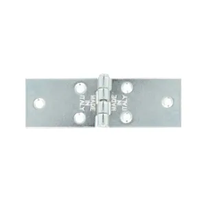 Cerniere strette ad ala lunga in ferro zincato 2pz. Misura (mm x mm): 25 x 60 mm.