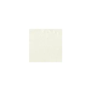 SHABBY CHIC PROVENZALE DECORGESSO ANTICANTE ALL'ACQUA 375 ml - Borma Wachs Colori Borma Wachs: 08 - AVORIO