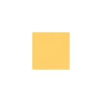 SHABBY CHIC PROVENZALE DECORGESSO ANTICANTE ALL'ACQUA 375 ml - Borma Wachs Colori Borma Wachs: 120 - GIALLO OSSIDO