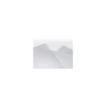 VETRO SINTETICO TRASPARENTE Dimensioni cm x cm x cm: 50 x 2 x 125 cm
