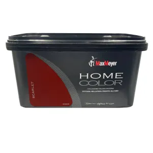 PITTURA COLORATA SUPERLAVABILE MAXMEYER HOME COLOR 2,5 LT Colori Generici: Silver