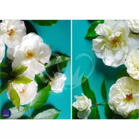 CARTA DECOUPAGE TUSCAN ROSA