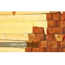 LISTELLO LEGNO DI ABETE GREZZO 25X50MM 4MT