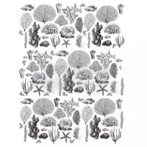 REDESIGN DECOR TRANSFERS COASTAL SEA LIFE DESIGN 61×81CM