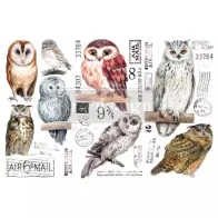 REDESIGN DECOR TRANSFERS OWL 15 x 30,5 CM