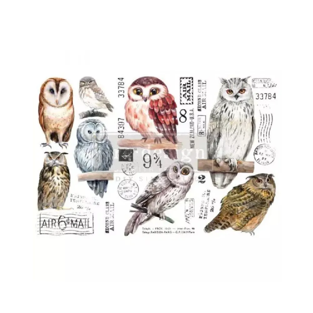 REDESIGN DECOR TRANSFERS OWL 15 x 30,5 CM