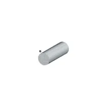 PROFILO ARGENTO H.100 TONDO PIENO D.6