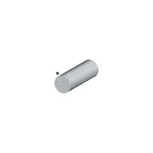 PROFILO ARGENTO H.100 TONDO PIENO D.6