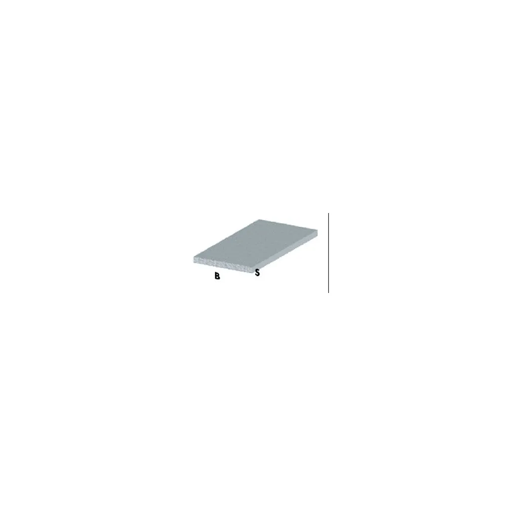 PROFILO CROMO H.100 CM PIATTO 15X2 MM PROFILO CROMO H.100 CM PIATTO 15X2 MM