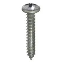 VITI AUTOFILETTANTI TESTA CILINDRICA BOMBATA INOX A2 5,5X50 - 4PZ