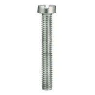 Viti metriche testa cilindrica Inox A2 5,0X25 mm PZ10