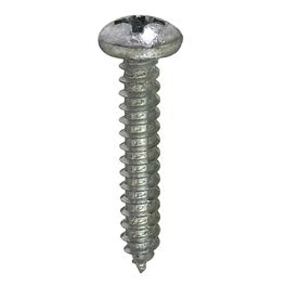 VITI AUTOFILETTANTI TESTA CILINDRICA BOMBATA INOX A2 5,5X25 - 8PZ