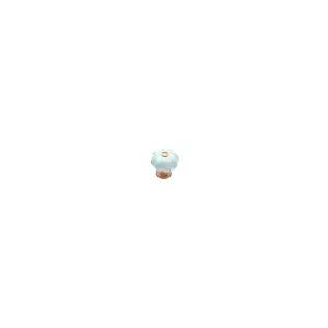 POMOLO "ZUCCA" IN PORCELLANA Ø28MM BIANCO 1PZ