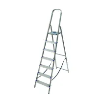 SCALE VIGOR ERCOLE ALLUMINIO EN-131 GRADINI 7