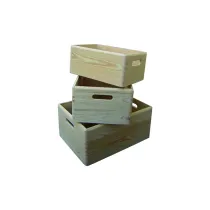 CASSETTE LEGNO BLINKY GARDEN PETUNIA SET 3 PEZZI