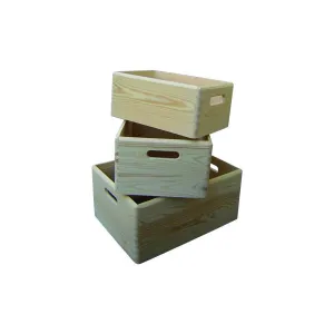 CASSETTE LEGNO BLINKY GARDEN PETUNIA SET 3 PEZZI
