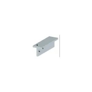 PROFILO ARGENTO H.100CM T 30X15X1,5MM