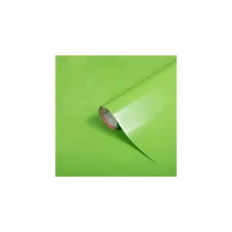PLASTICA ADESIVA 'TINTA UNITA' 2016 H.45 CM X 15MT VERDE