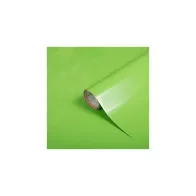 PLASTICA ADESIVA 'TINTA UNITA' 2016 H.45 CM X 15MT VERDE