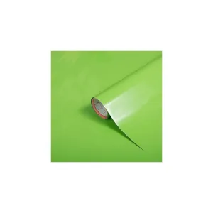 PLASTICA ADESIVA 'TINTA UNITA' 2016 H.45 CM X 15MT VERDE