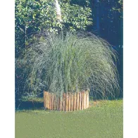 ROLLBORDER IN PINO IMPREGNATO 5X20X200