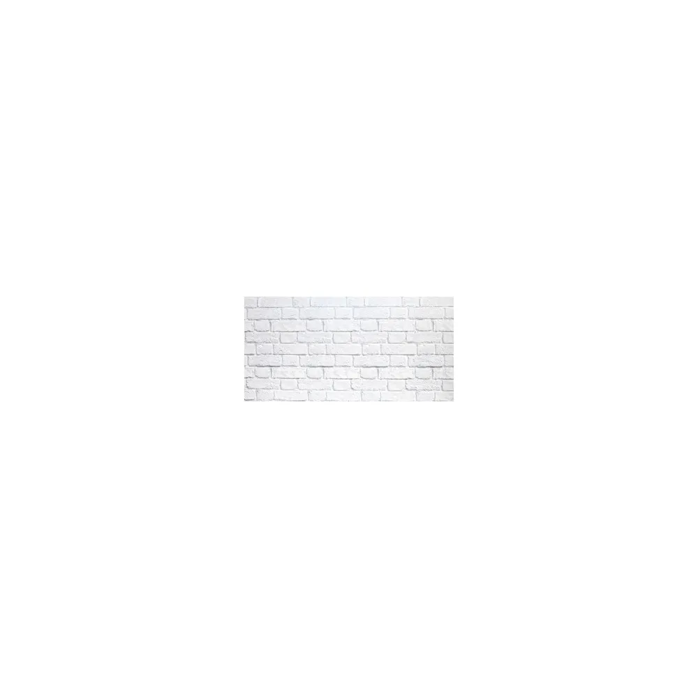 PANNELLO DECORATIVO CM 50X100 DIS.MURO