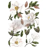 REDESIGN DECOR TRANSFER MAGNOLIA GRANDIFLORA 61x89cm