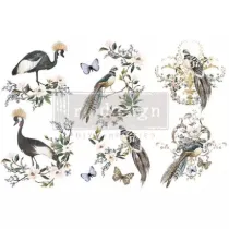 REDESIGN DECOR TRANSFERS RARE BIRDS 15 x 30,5 CM
