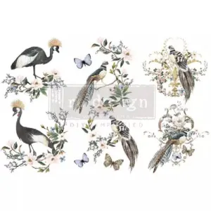 REDESIGN DECOR TRANSFERS RARE BIRDS 15 x 30,5 CM