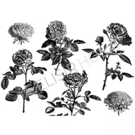 STAMPA TRASFERIBILE "VINTAGE, DRAWING FLOWER" 28X40CM