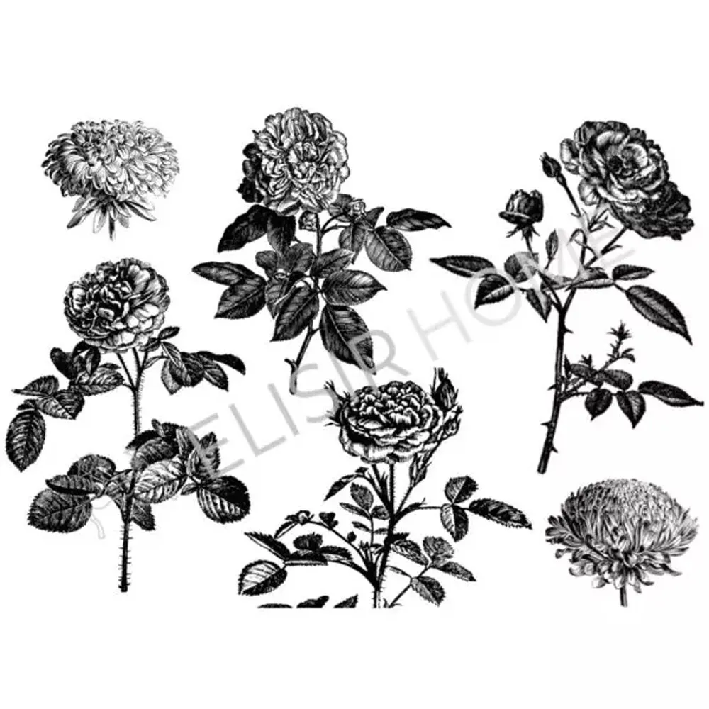 TRANSFER DRAWING FLOWER