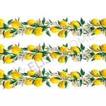 STAMPA TRASFERIBILE "FANTASIA, GHIRLANDA LIMONI" 28X40CM MAGIC PAINT