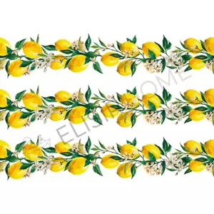 STAMPA TRASFERIBILE "FANTASIA, GHIRLANDA LIMONI" 28X40CM MAGIC PAINT