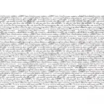 STAMPA TRASFERIBILE "SCRIPT, ELEGANT CALLIGRAPHY" 28X40CM
