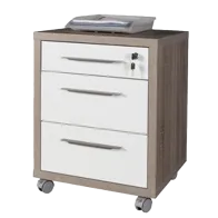 CASSETTIERA 3 CASSETTI 45X48,5 ROVERE BI